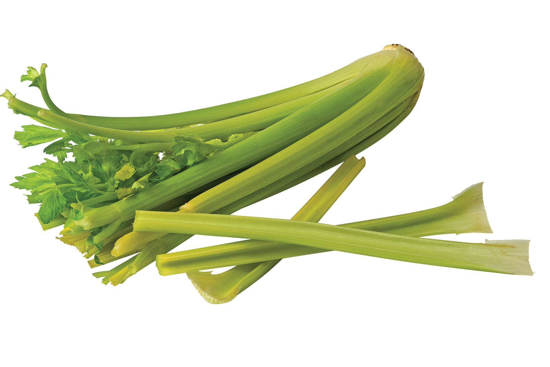 stalks of celery 2